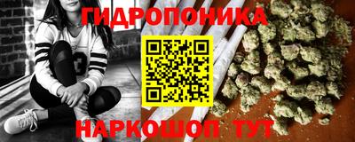 эйфоретик Можга