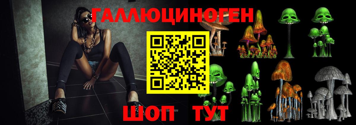 Псилоцибиновые грибы Psilocybe  Псилоцибиновые грибы мухоморы  Лесной  Вход с VPN 
